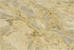 golden rice